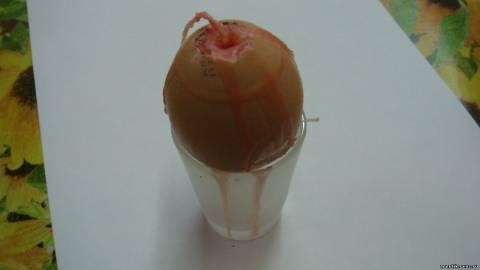 свеча в виде яйца на пасху. Смотреть фото свеча в виде яйца на пасху. Смотреть картинку свеча в виде яйца на пасху. Картинка про свеча в виде яйца на пасху. Фото свеча в виде яйца на пасху свеча в виде яйца на пасху. Смотреть фото свеча в виде яйца на пасху. Смотреть картинку свеча в виде яйца на пасху. Картинка про свеча в виде яйца на пасху. Фото свеча в виде яйца на пасху