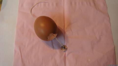 свеча в виде яйца на пасху. Смотреть фото свеча в виде яйца на пасху. Смотреть картинку свеча в виде яйца на пасху. Картинка про свеча в виде яйца на пасху. Фото свеча в виде яйца на пасху свеча в виде яйца на пасху. Смотреть фото свеча в виде яйца на пасху. Смотреть картинку свеча в виде яйца на пасху. Картинка про свеча в виде яйца на пасху. Фото свеча в виде яйца на пасху