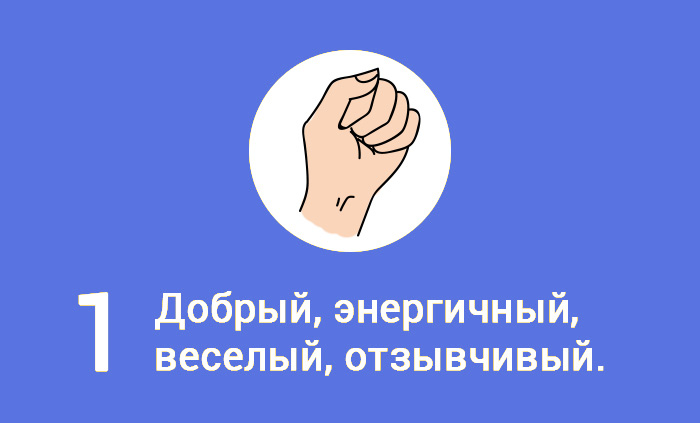 что можно узнать по кулаку. Смотреть фото что можно узнать по кулаку. Смотреть картинку что можно узнать по кулаку. Картинка про что можно узнать по кулаку. Фото что можно узнать по кулаку