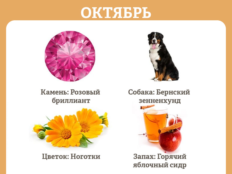 в каком году и в каком месяце родилась. Смотреть фото в каком году и в каком месяце родилась. Смотреть картинку в каком году и в каком месяце родилась. Картинка про в каком году и в каком месяце родилась. Фото в каком году и в каком месяце родилась