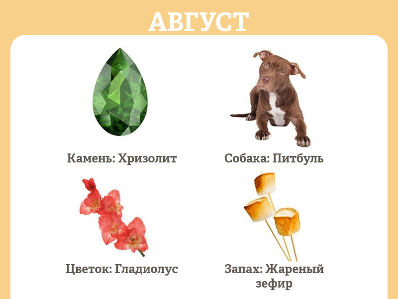 в каком году и в каком месяце родилась. Смотреть фото в каком году и в каком месяце родилась. Смотреть картинку в каком году и в каком месяце родилась. Картинка про в каком году и в каком месяце родилась. Фото в каком году и в каком месяце родилась