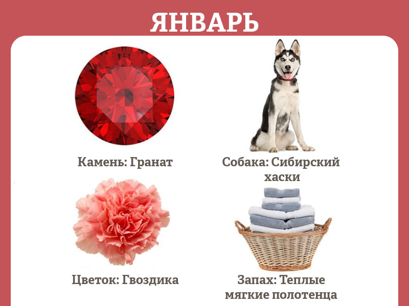 в каком году и в каком месяце родилась. Смотреть фото в каком году и в каком месяце родилась. Смотреть картинку в каком году и в каком месяце родилась. Картинка про в каком году и в каком месяце родилась. Фото в каком году и в каком месяце родилась