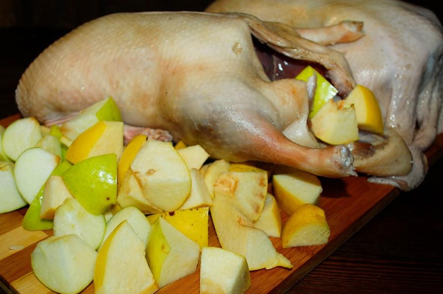 DSC_0651 DSC_0651