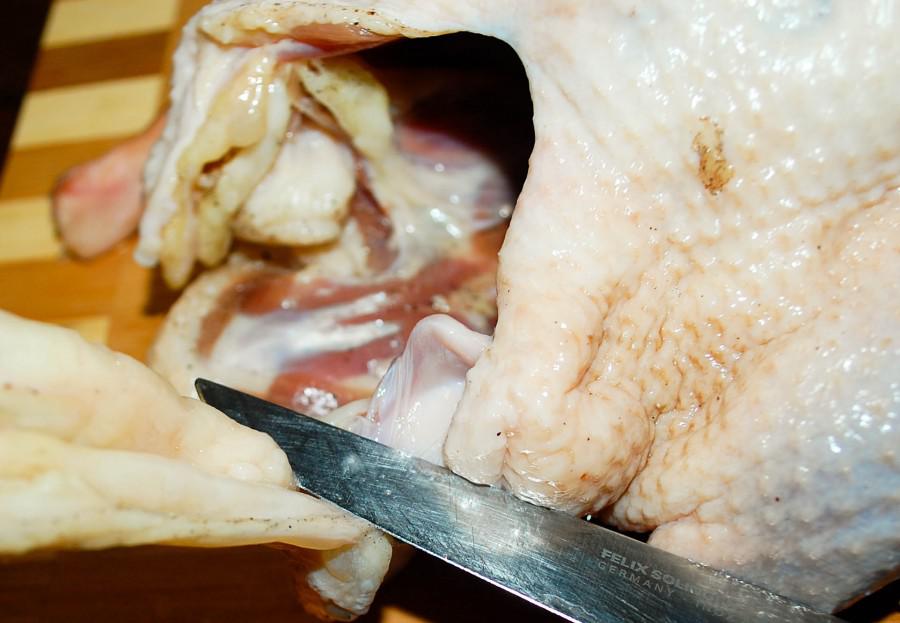 DSC_0629 DSC_0629