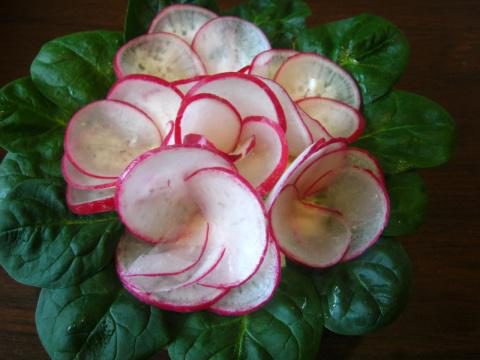 салат фиалка с копченой курицей и корейской морковью. Смотреть фото салат фиалка с копченой курицей и корейской морковью. Смотреть картинку салат фиалка с копченой курицей и корейской морковью. Картинка про салат фиалка с копченой курицей и корейской морковью. Фото салат фиалка с копченой курицей и корейской морковью салат фиалка с копченой курицей и корейской морковью. Смотреть фото салат фиалка с копченой курицей и корейской морковью. Смотреть картинку салат фиалка с копченой курицей и корейской морковью. Картинка про салат фиалка с копченой курицей и корейской морковью. Фото салат фиалка с копченой курицей и корейской морковью