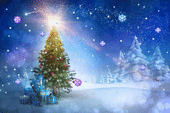 Рождественская ель – образ Древа Жизни