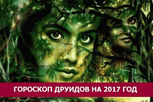 Гороскоп друидов на 2017 год