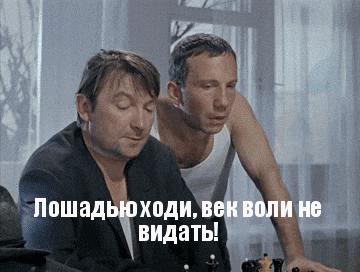 в каком городе оказались сбежавшие джентльмены удачи. 4323 2422 1499430144 23. в каком городе оказались сбежавшие джентльмены удачи фото. в каком городе оказались сбежавшие джентльмены удачи-4323 2422 1499430144 23. картинка в каком городе оказались сбежавшие джентльмены удачи. картинка 4323 2422 1499430144 23. В 1971 году комедия не особо известного режиссера Александра Серого и помогавшего ему прославленного Георгия Данелия побила все мыслимые рекорды: ее посмотрели 65 миллионов советских граждан. Несмотря на то, что билеты продавались спекулянтами с рук по 3 рубля вместо положенных 20 копеек. В будущем станет известно, что фильм займет 12-е место по посещаемости среди всех лент советского кинематографа.