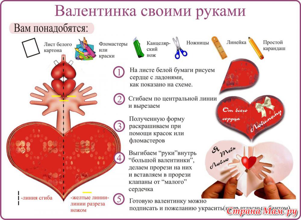 Выращивание грибов на приусадебном участке 3