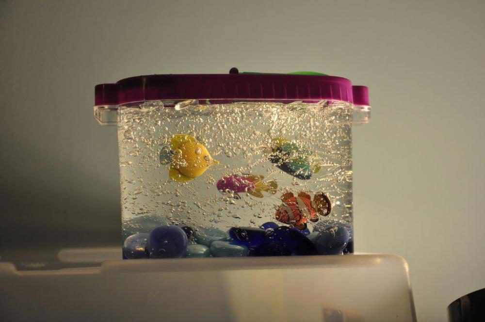Декоративный аквариум своими руками