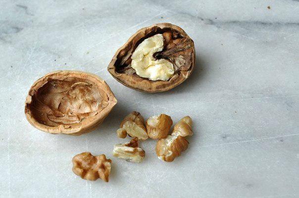 в чем подарить орехи. 5271 1850 1499432578 4. в чем подарить орехи фото. в чем подарить орехи-5271 1850 1499432578 4. картинка в чем подарить орехи. картинка 5271 1850 1499432578 4. Орехи и сухофрукты — не только вкусное лакомство, которое любят и взрослые, и дети, но и прекрасный подарок. Ассорти из даров природы — красивый и вкусный презент, который можно вручить и близким, и знакомым. Этот вкусный сюрприз принесет большую пользу для здоровья, ведь сушеные плоды — сладости с большим количеством витаминов, клетчатки, полезных веществ. Подарочный набор из этих ингредиентов можно купить, а можно сделать самостоятельно. в чем подарить орехи. 5271 1850 1499432578 4. в чем подарить орехи фото. в чем подарить орехи-5271 1850 1499432578 4. картинка в чем подарить орехи. картинка 5271 1850 1499432578 4. Орехи и сухофрукты — не только вкусное лакомство, которое любят и взрослые, и дети, но и прекрасный подарок. Ассорти из даров природы — красивый и вкусный презент, который можно вручить и близким, и знакомым. Этот вкусный сюрприз принесет большую пользу для здоровья, ведь сушеные плоды — сладости с большим количеством витаминов, клетчатки, полезных веществ. Подарочный набор из этих ингредиентов можно купить, а можно сделать самостоятельно.