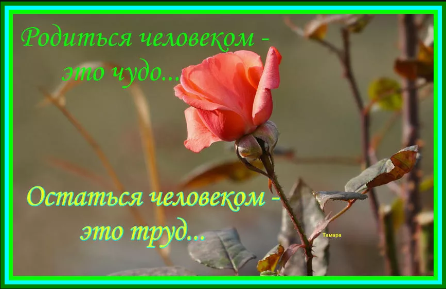Если ближний упал, ты его подними... Если ближний упал, ты его подними...