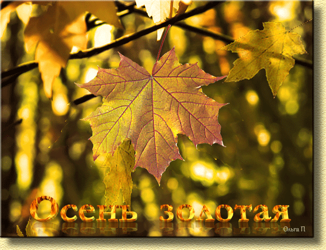 Кленовый лист - стихи об осени...