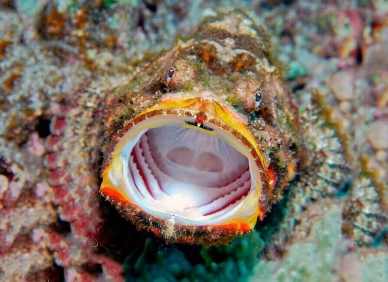 ΡΡΠ±Π° ΠΊΠ°ΠΌΠ΅Π½Ρ ΡΠ°ΠΌΠ°Ρ ΡΠ΄ΠΎΠ²ΠΈΡΠ°Ρ ΡΡΠ±Π° Π² ΠΌΠΈΡΠ΅. Π‘ΠΌΠΎΡΡΠ΅ΡΡ ΡΠΎΡΠΎ ΡΡΠ±Π° ΠΊΠ°ΠΌΠ΅Π½Ρ ΡΠ°ΠΌΠ°Ρ ΡΠ΄ΠΎΠ²ΠΈΡΠ°Ρ ΡΡΠ±Π° Π² ΠΌΠΈΡΠ΅. Π‘ΠΌΠΎΡΡΠ΅ΡΡ ΠΊΠ°ΡΡΠΈΠ½ΠΊΡ ΡΡΠ±Π° ΠΊΠ°ΠΌΠ΅Π½Ρ ΡΠ°ΠΌΠ°Ρ ΡΠ΄ΠΎΠ²ΠΈΡΠ°Ρ ΡΡΠ±Π° Π² ΠΌΠΈΡΠ΅. ΠΠ°ΡΡΠΈΠ½ΠΊΠ° ΠΏΡΠΎ ΡΡΠ±Π° ΠΊΠ°ΠΌΠ΅Π½Ρ ΡΠ°ΠΌΠ°Ρ ΡΠ΄ΠΎΠ²ΠΈΡΠ°Ρ ΡΡΠ±Π° Π² ΠΌΠΈΡΠ΅. Π€ΠΎΡΠΎ ΡΡΠ±Π° ΠΊΠ°ΠΌΠ΅Π½Ρ ΡΠ°ΠΌΠ°Ρ ΡΠ΄ΠΎΠ²ΠΈΡΠ°Ρ ΡΡΠ±Π° Π² ΠΌΠΈΡΠ΅ ΡΡΠ±Π° ΠΊΠ°ΠΌΠ΅Π½Ρ ΡΠ°ΠΌΠ°Ρ ΡΠ΄ΠΎΠ²ΠΈΡΠ°Ρ ΡΡΠ±Π° Π² ΠΌΠΈΡΠ΅. Π‘ΠΌΠΎΡΡΠ΅ΡΡ ΡΠΎΡΠΎ ΡΡΠ±Π° ΠΊΠ°ΠΌΠ΅Π½Ρ ΡΠ°ΠΌΠ°Ρ ΡΠ΄ΠΎΠ²ΠΈΡΠ°Ρ ΡΡΠ±Π° Π² ΠΌΠΈΡΠ΅. Π‘ΠΌΠΎΡΡΠ΅ΡΡ ΠΊΠ°ΡΡΠΈΠ½ΠΊΡ ΡΡΠ±Π° ΠΊΠ°ΠΌΠ΅Π½Ρ ΡΠ°ΠΌΠ°Ρ ΡΠ΄ΠΎΠ²ΠΈΡΠ°Ρ ΡΡΠ±Π° Π² ΠΌΠΈΡΠ΅. ΠΠ°ΡΡΠΈΠ½ΠΊΠ° ΠΏΡΠΎ ΡΡΠ±Π° ΠΊΠ°ΠΌΠ΅Π½Ρ ΡΠ°ΠΌΠ°Ρ ΡΠ΄ΠΎΠ²ΠΈΡΠ°Ρ ΡΡΠ±Π° Π² ΠΌΠΈΡΠ΅. Π€ΠΎΡΠΎ ΡΡΠ±Π° ΠΊΠ°ΠΌΠ΅Π½Ρ ΡΠ°ΠΌΠ°Ρ ΡΠ΄ΠΎΠ²ΠΈΡΠ°Ρ ΡΡΠ±Π° Π² ΠΌΠΈΡΠ΅