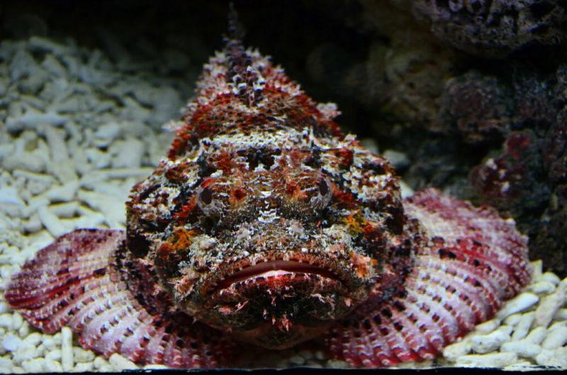 ΡΡΠ±Π° ΠΊΠ°ΠΌΠ΅Π½Ρ ΡΠ°ΠΌΠ°Ρ ΡΠ΄ΠΎΠ²ΠΈΡΠ°Ρ ΡΡΠ±Π° Π² ΠΌΠΈΡΠ΅. Π‘ΠΌΠΎΡΡΠ΅ΡΡ ΡΠΎΡΠΎ ΡΡΠ±Π° ΠΊΠ°ΠΌΠ΅Π½Ρ ΡΠ°ΠΌΠ°Ρ ΡΠ΄ΠΎΠ²ΠΈΡΠ°Ρ ΡΡΠ±Π° Π² ΠΌΠΈΡΠ΅. Π‘ΠΌΠΎΡΡΠ΅ΡΡ ΠΊΠ°ΡΡΠΈΠ½ΠΊΡ ΡΡΠ±Π° ΠΊΠ°ΠΌΠ΅Π½Ρ ΡΠ°ΠΌΠ°Ρ ΡΠ΄ΠΎΠ²ΠΈΡΠ°Ρ ΡΡΠ±Π° Π² ΠΌΠΈΡΠ΅. ΠΠ°ΡΡΠΈΠ½ΠΊΠ° ΠΏΡΠΎ ΡΡΠ±Π° ΠΊΠ°ΠΌΠ΅Π½Ρ ΡΠ°ΠΌΠ°Ρ ΡΠ΄ΠΎΠ²ΠΈΡΠ°Ρ ΡΡΠ±Π° Π² ΠΌΠΈΡΠ΅. Π€ΠΎΡΠΎ ΡΡΠ±Π° ΠΊΠ°ΠΌΠ΅Π½Ρ ΡΠ°ΠΌΠ°Ρ ΡΠ΄ΠΎΠ²ΠΈΡΠ°Ρ ΡΡΠ±Π° Π² ΠΌΠΈΡΠ΅ ΡΡΠ±Π° ΠΊΠ°ΠΌΠ΅Π½Ρ ΡΠ°ΠΌΠ°Ρ ΡΠ΄ΠΎΠ²ΠΈΡΠ°Ρ ΡΡΠ±Π° Π² ΠΌΠΈΡΠ΅. Π‘ΠΌΠΎΡΡΠ΅ΡΡ ΡΠΎΡΠΎ ΡΡΠ±Π° ΠΊΠ°ΠΌΠ΅Π½Ρ ΡΠ°ΠΌΠ°Ρ ΡΠ΄ΠΎΠ²ΠΈΡΠ°Ρ ΡΡΠ±Π° Π² ΠΌΠΈΡΠ΅. Π‘ΠΌΠΎΡΡΠ΅ΡΡ ΠΊΠ°ΡΡΠΈΠ½ΠΊΡ ΡΡΠ±Π° ΠΊΠ°ΠΌΠ΅Π½Ρ ΡΠ°ΠΌΠ°Ρ ΡΠ΄ΠΎΠ²ΠΈΡΠ°Ρ ΡΡΠ±Π° Π² ΠΌΠΈΡΠ΅. ΠΠ°ΡΡΠΈΠ½ΠΊΠ° ΠΏΡΠΎ ΡΡΠ±Π° ΠΊΠ°ΠΌΠ΅Π½Ρ ΡΠ°ΠΌΠ°Ρ ΡΠ΄ΠΎΠ²ΠΈΡΠ°Ρ ΡΡΠ±Π° Π² ΠΌΠΈΡΠ΅. Π€ΠΎΡΠΎ ΡΡΠ±Π° ΠΊΠ°ΠΌΠ΅Π½Ρ ΡΠ°ΠΌΠ°Ρ ΡΠ΄ΠΎΠ²ΠΈΡΠ°Ρ ΡΡΠ±Π° Π² ΠΌΠΈΡΠ΅