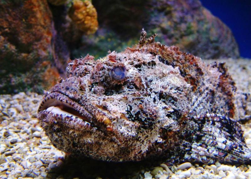 ΡΡΠ±Π° ΠΊΠ°ΠΌΠ΅Π½Ρ ΡΠ°ΠΌΠ°Ρ ΡΠ΄ΠΎΠ²ΠΈΡΠ°Ρ ΡΡΠ±Π° Π² ΠΌΠΈΡΠ΅. Π‘ΠΌΠΎΡΡΠ΅ΡΡ ΡΠΎΡΠΎ ΡΡΠ±Π° ΠΊΠ°ΠΌΠ΅Π½Ρ ΡΠ°ΠΌΠ°Ρ ΡΠ΄ΠΎΠ²ΠΈΡΠ°Ρ ΡΡΠ±Π° Π² ΠΌΠΈΡΠ΅. Π‘ΠΌΠΎΡΡΠ΅ΡΡ ΠΊΠ°ΡΡΠΈΠ½ΠΊΡ ΡΡΠ±Π° ΠΊΠ°ΠΌΠ΅Π½Ρ ΡΠ°ΠΌΠ°Ρ ΡΠ΄ΠΎΠ²ΠΈΡΠ°Ρ ΡΡΠ±Π° Π² ΠΌΠΈΡΠ΅. ΠΠ°ΡΡΠΈΠ½ΠΊΠ° ΠΏΡΠΎ ΡΡΠ±Π° ΠΊΠ°ΠΌΠ΅Π½Ρ ΡΠ°ΠΌΠ°Ρ ΡΠ΄ΠΎΠ²ΠΈΡΠ°Ρ ΡΡΠ±Π° Π² ΠΌΠΈΡΠ΅. Π€ΠΎΡΠΎ ΡΡΠ±Π° ΠΊΠ°ΠΌΠ΅Π½Ρ ΡΠ°ΠΌΠ°Ρ ΡΠ΄ΠΎΠ²ΠΈΡΠ°Ρ ΡΡΠ±Π° Π² ΠΌΠΈΡΠ΅ ΡΡΠ±Π° ΠΊΠ°ΠΌΠ΅Π½Ρ ΡΠ°ΠΌΠ°Ρ ΡΠ΄ΠΎΠ²ΠΈΡΠ°Ρ ΡΡΠ±Π° Π² ΠΌΠΈΡΠ΅. Π‘ΠΌΠΎΡΡΠ΅ΡΡ ΡΠΎΡΠΎ ΡΡΠ±Π° ΠΊΠ°ΠΌΠ΅Π½Ρ ΡΠ°ΠΌΠ°Ρ ΡΠ΄ΠΎΠ²ΠΈΡΠ°Ρ ΡΡΠ±Π° Π² ΠΌΠΈΡΠ΅. Π‘ΠΌΠΎΡΡΠ΅ΡΡ ΠΊΠ°ΡΡΠΈΠ½ΠΊΡ ΡΡΠ±Π° ΠΊΠ°ΠΌΠ΅Π½Ρ ΡΠ°ΠΌΠ°Ρ ΡΠ΄ΠΎΠ²ΠΈΡΠ°Ρ ΡΡΠ±Π° Π² ΠΌΠΈΡΠ΅. ΠΠ°ΡΡΠΈΠ½ΠΊΠ° ΠΏΡΠΎ ΡΡΠ±Π° ΠΊΠ°ΠΌΠ΅Π½Ρ ΡΠ°ΠΌΠ°Ρ ΡΠ΄ΠΎΠ²ΠΈΡΠ°Ρ ΡΡΠ±Π° Π² ΠΌΠΈΡΠ΅. Π€ΠΎΡΠΎ ΡΡΠ±Π° ΠΊΠ°ΠΌΠ΅Π½Ρ ΡΠ°ΠΌΠ°Ρ ΡΠ΄ΠΎΠ²ΠΈΡΠ°Ρ ΡΡΠ±Π° Π² ΠΌΠΈΡΠ΅