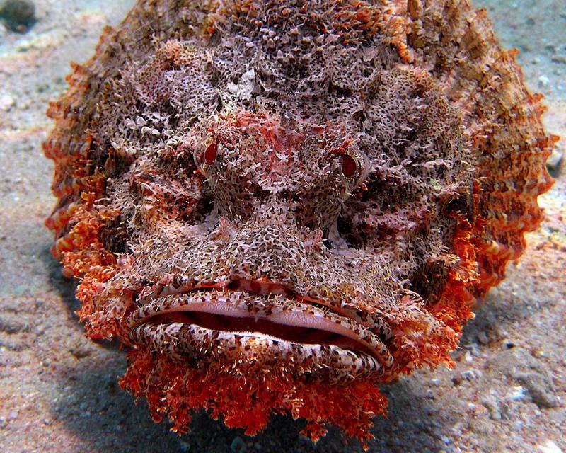 ΡΡΠ±Π° ΠΊΠ°ΠΌΠ΅Π½Ρ ΡΠ°ΠΌΠ°Ρ ΡΠ΄ΠΎΠ²ΠΈΡΠ°Ρ ΡΡΠ±Π° Π² ΠΌΠΈΡΠ΅. Π‘ΠΌΠΎΡΡΠ΅ΡΡ ΡΠΎΡΠΎ ΡΡΠ±Π° ΠΊΠ°ΠΌΠ΅Π½Ρ ΡΠ°ΠΌΠ°Ρ ΡΠ΄ΠΎΠ²ΠΈΡΠ°Ρ ΡΡΠ±Π° Π² ΠΌΠΈΡΠ΅. Π‘ΠΌΠΎΡΡΠ΅ΡΡ ΠΊΠ°ΡΡΠΈΠ½ΠΊΡ ΡΡΠ±Π° ΠΊΠ°ΠΌΠ΅Π½Ρ ΡΠ°ΠΌΠ°Ρ ΡΠ΄ΠΎΠ²ΠΈΡΠ°Ρ ΡΡΠ±Π° Π² ΠΌΠΈΡΠ΅. ΠΠ°ΡΡΠΈΠ½ΠΊΠ° ΠΏΡΠΎ ΡΡΠ±Π° ΠΊΠ°ΠΌΠ΅Π½Ρ ΡΠ°ΠΌΠ°Ρ ΡΠ΄ΠΎΠ²ΠΈΡΠ°Ρ ΡΡΠ±Π° Π² ΠΌΠΈΡΠ΅. Π€ΠΎΡΠΎ ΡΡΠ±Π° ΠΊΠ°ΠΌΠ΅Π½Ρ ΡΠ°ΠΌΠ°Ρ ΡΠ΄ΠΎΠ²ΠΈΡΠ°Ρ ΡΡΠ±Π° Π² ΠΌΠΈΡΠ΅ ΡΡΠ±Π° ΠΊΠ°ΠΌΠ΅Π½Ρ ΡΠ°ΠΌΠ°Ρ ΡΠ΄ΠΎΠ²ΠΈΡΠ°Ρ ΡΡΠ±Π° Π² ΠΌΠΈΡΠ΅. Π‘ΠΌΠΎΡΡΠ΅ΡΡ ΡΠΎΡΠΎ ΡΡΠ±Π° ΠΊΠ°ΠΌΠ΅Π½Ρ ΡΠ°ΠΌΠ°Ρ ΡΠ΄ΠΎΠ²ΠΈΡΠ°Ρ ΡΡΠ±Π° Π² ΠΌΠΈΡΠ΅. Π‘ΠΌΠΎΡΡΠ΅ΡΡ ΠΊΠ°ΡΡΠΈΠ½ΠΊΡ ΡΡΠ±Π° ΠΊΠ°ΠΌΠ΅Π½Ρ ΡΠ°ΠΌΠ°Ρ ΡΠ΄ΠΎΠ²ΠΈΡΠ°Ρ ΡΡΠ±Π° Π² ΠΌΠΈΡΠ΅. ΠΠ°ΡΡΠΈΠ½ΠΊΠ° ΠΏΡΠΎ ΡΡΠ±Π° ΠΊΠ°ΠΌΠ΅Π½Ρ ΡΠ°ΠΌΠ°Ρ ΡΠ΄ΠΎΠ²ΠΈΡΠ°Ρ ΡΡΠ±Π° Π² ΠΌΠΈΡΠ΅. Π€ΠΎΡΠΎ ΡΡΠ±Π° ΠΊΠ°ΠΌΠ΅Π½Ρ ΡΠ°ΠΌΠ°Ρ ΡΠ΄ΠΎΠ²ΠΈΡΠ°Ρ ΡΡΠ±Π° Π² ΠΌΠΈΡΠ΅