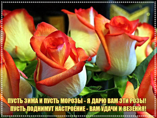 https://content.foto.my.mail.ru/community/poasiya/_groupsphoto/h-10704.jpg