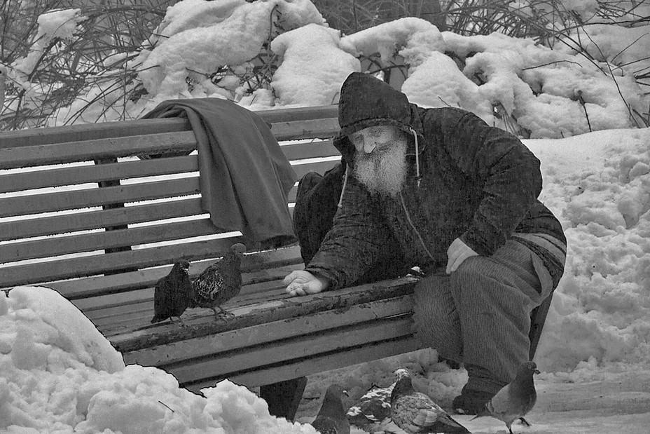 Храм никто не живет в одиночестве. Люди зимой на скамейке. Старик на скамейке зимой. Старики зимой.