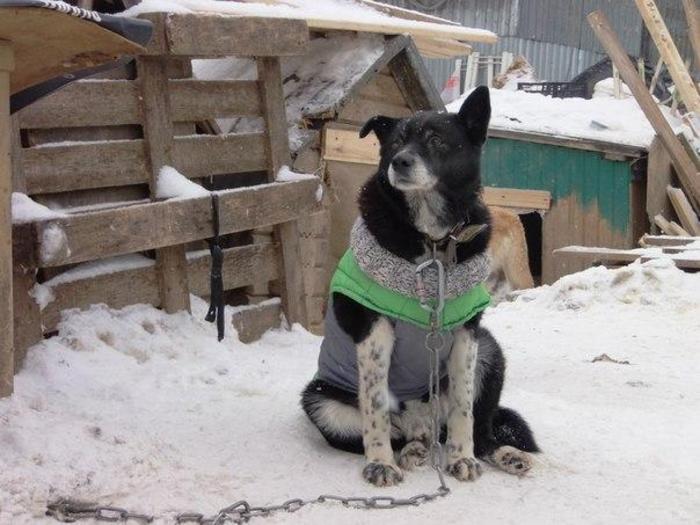 original.jpg#20616691503