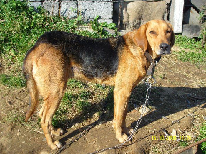 original.jpg#20037222128