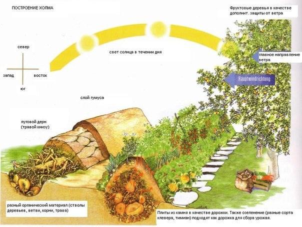 Грядка-холм Грядка-холм