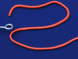 573578ddha858d9a4448c&690 (256x192, 100Kb)