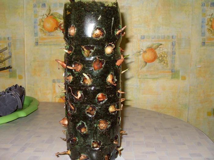 original.jpg#20277130932