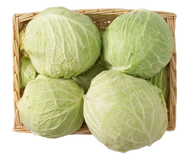 способ хранения капусты