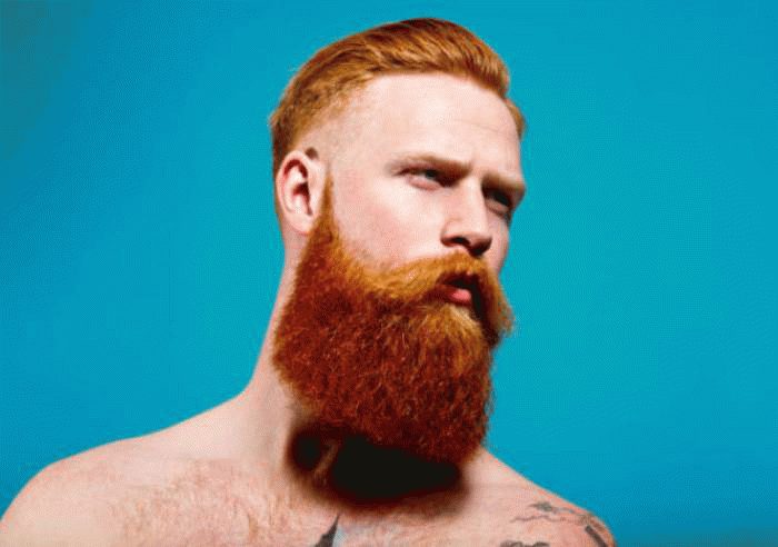 Рыжие – обладатели яркой внешности и противоречивой натуры Рыжие – обладатели яркой внешности и противоречивой натуры