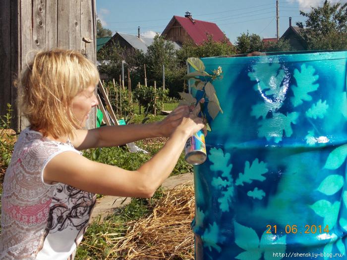 4121583_DSCN2620 (700x525, 355Kb)