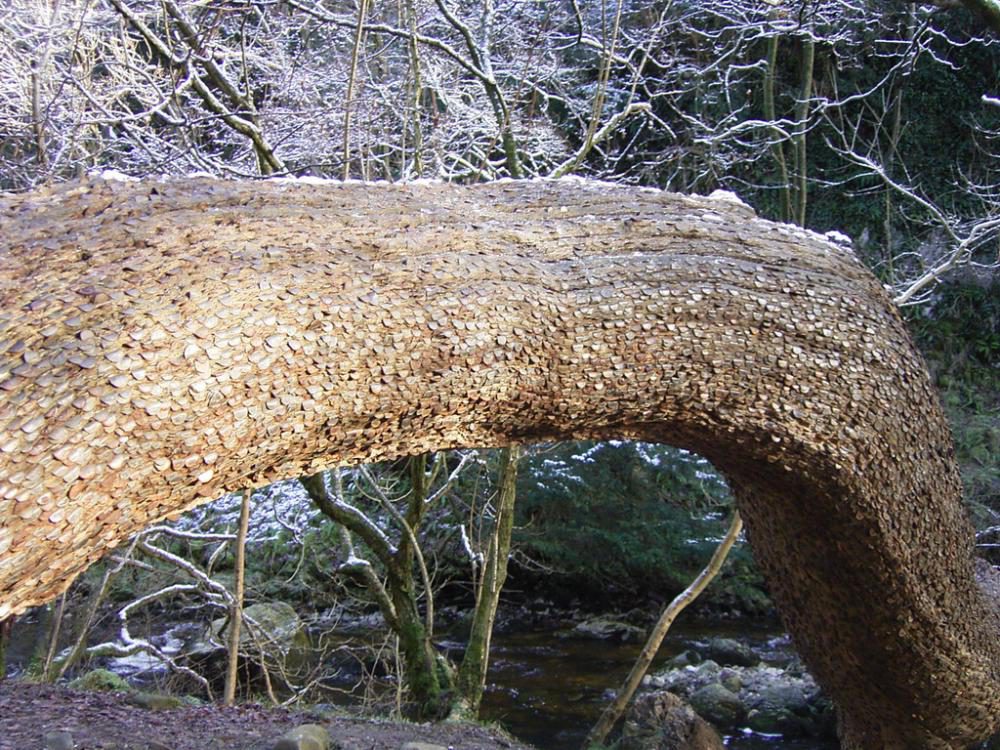 0 Деньги не растут на деревьях... или все таки растут?