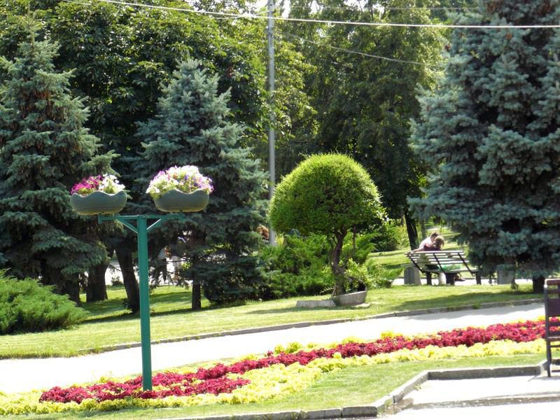 Нзм волгоград. Парк Победы Волгоград. Советский парк Волгоград. Сова в Волгограде парк. Парк Победы Волгоград фото.