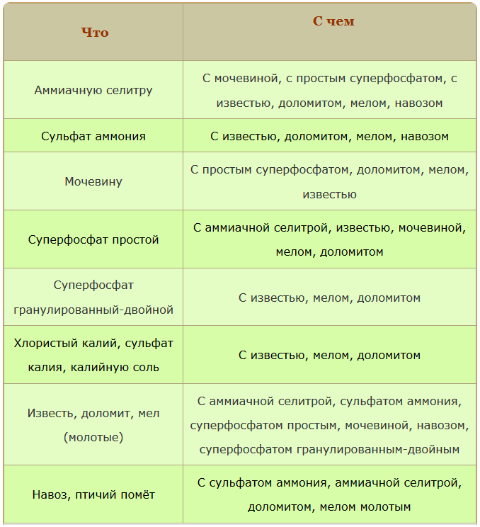 Почему в салате категорически нельзя смешивать огурцы и помидоры