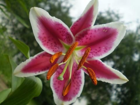 big.jpeg#20935092360