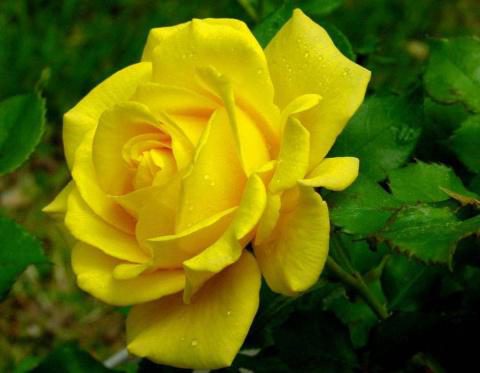 big.jpeg#20881502873