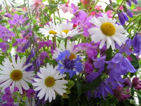 big.jpeg#20990800367