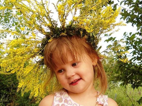 original.jpg#20678661419