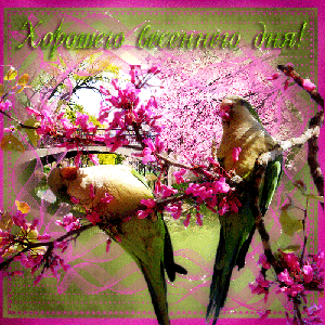 Весна пришла!