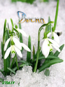 Весна пришла!