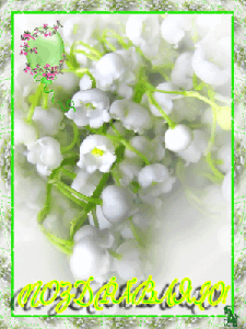 Весна пришла!