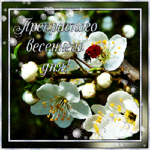 Весна пришла!