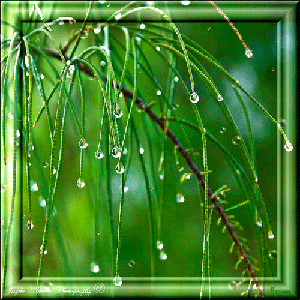 Весна пришла!