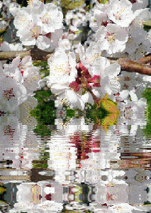 Весна пришла!