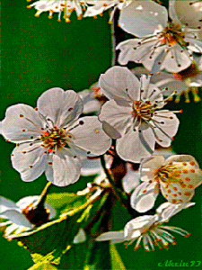 Весна пришла!