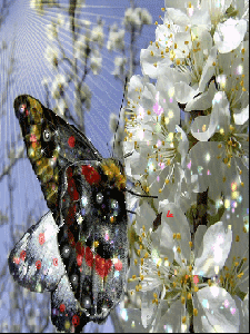 Весна пришла!