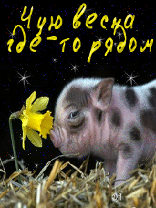 Весна пришла!