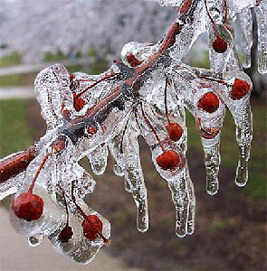 Весна пришла!