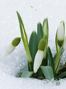 Весна пришла!