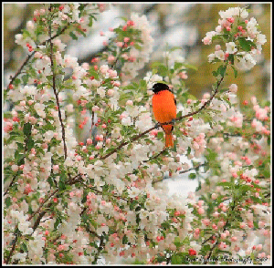 Весна пришла!